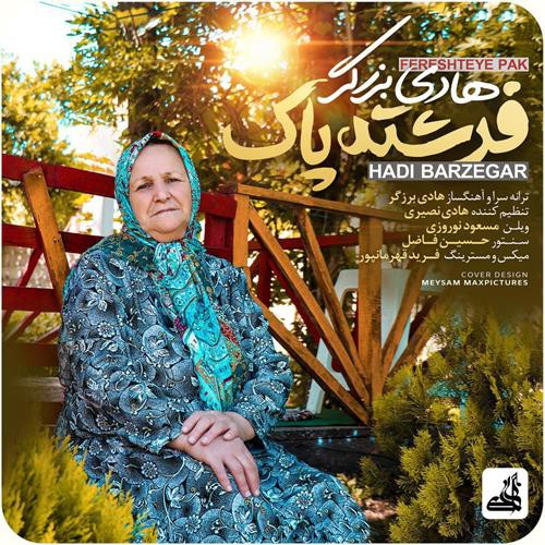 هادی برزگر فرشته پاک