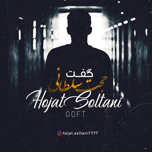 حجت سلطانی گفت