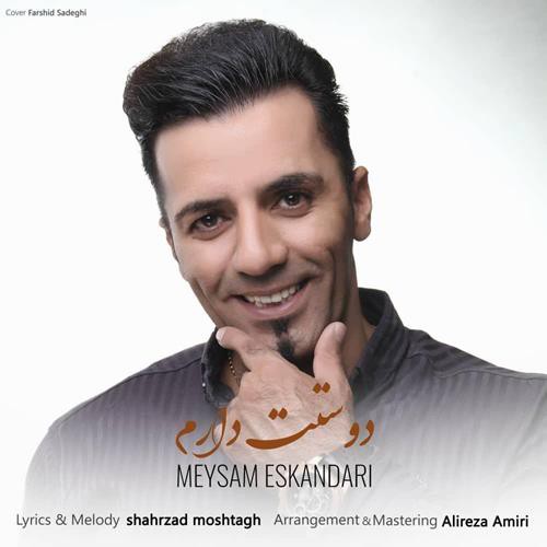 میثم اسکندری دوست دارم