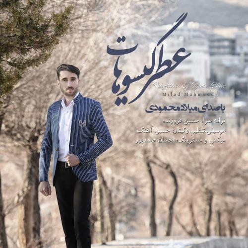 میلاد محمودی عطر گیسوهات