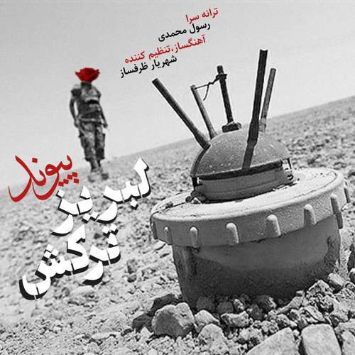 پیوند لبریز ترکش