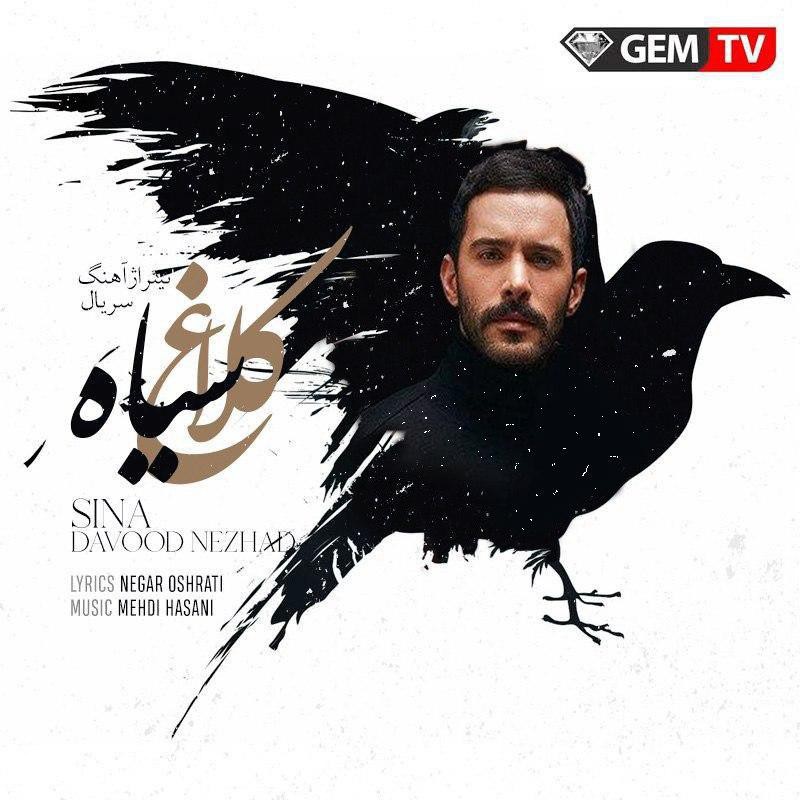 سینا داودنژاد کلاغ سیاه