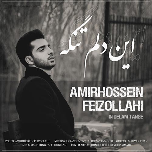 امیرحسین فیض الهی این دلم تنگه