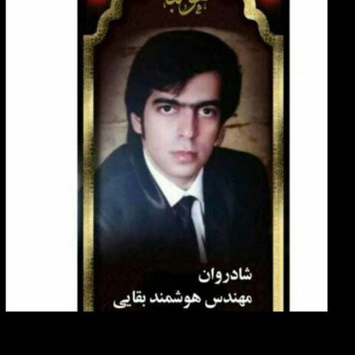هوشمند بقایی کجایی ببینی