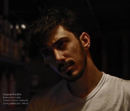 میثم حسینی آرامش محض