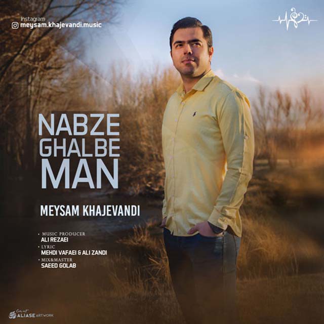 میثم خواجه وندی نبض قلب من
