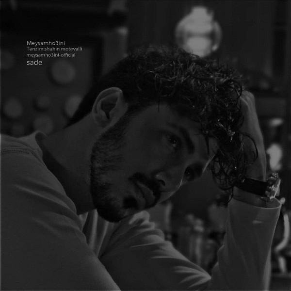 میثم حسینی ساده
