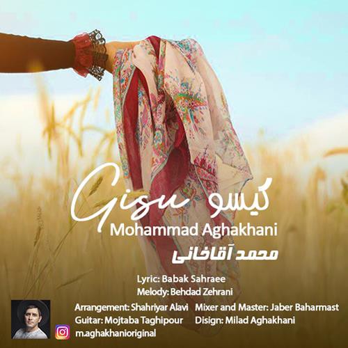 محمد آقاخانی گیسو