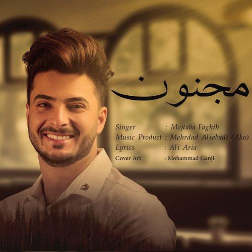 مجتبی فقیه مجنون