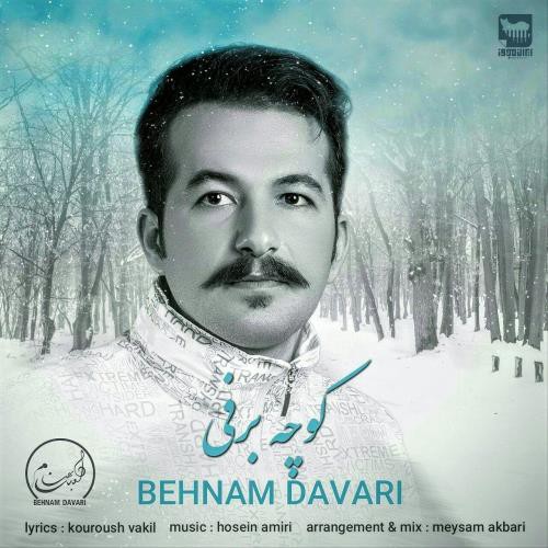 بهنام داوری کوچه برفی