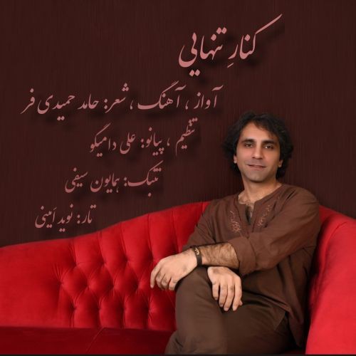 حامد حمیدی فر کنار تنهایی