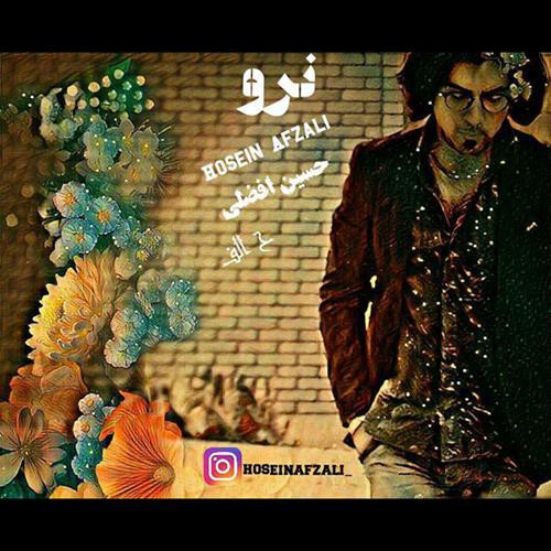 حسین افضلی نرو