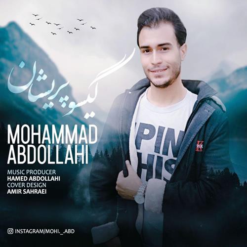 محمد عبداللهی