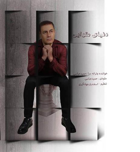 حمید عباسی دنیای مقوایی