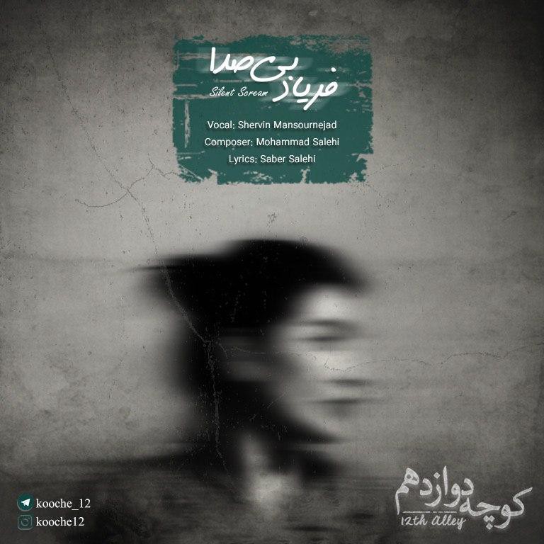 کوچه دوازدهم فریاد بی صدا