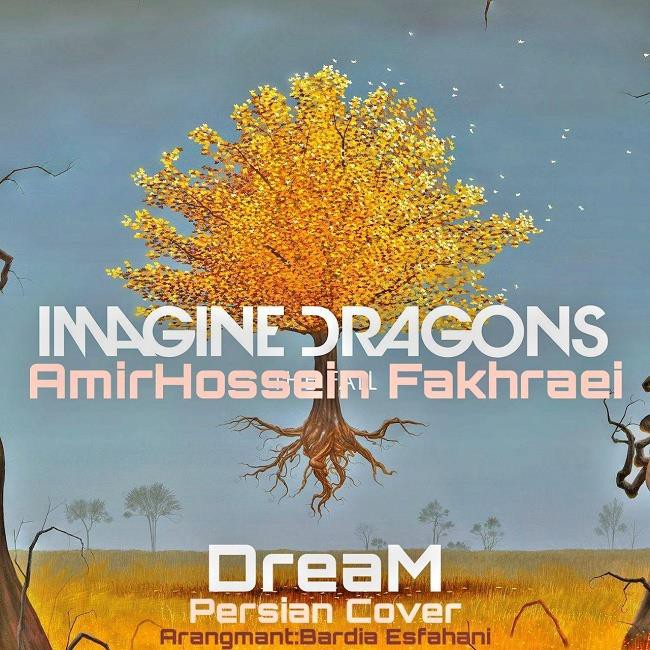 امیرحسین فخرایی Imagine Dragons