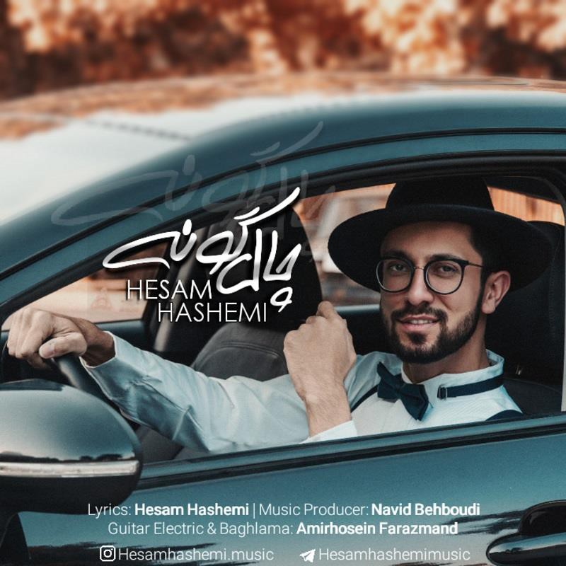 حسام هاشمی