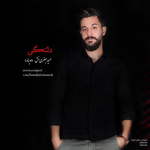 حمید جعفری منش نمیدونم دلتنگی