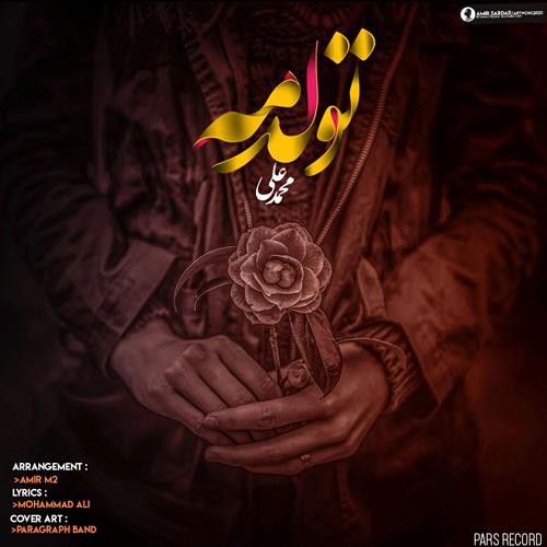 محمد علی تولدمه