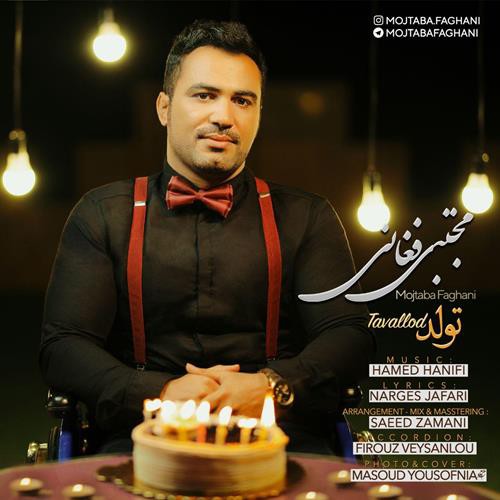 مجتبی فغانی تولد