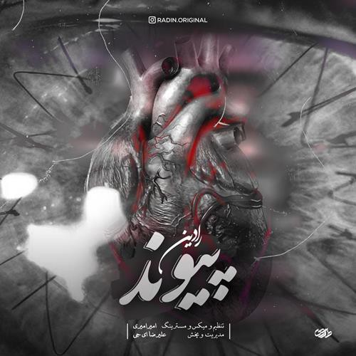 رادین پیوند