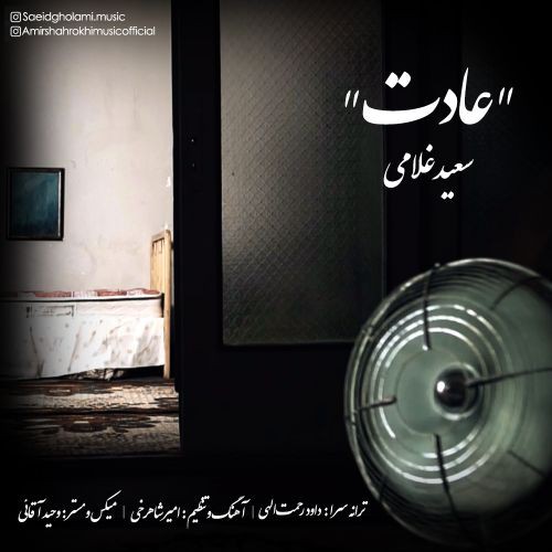سعید غلامی عادت