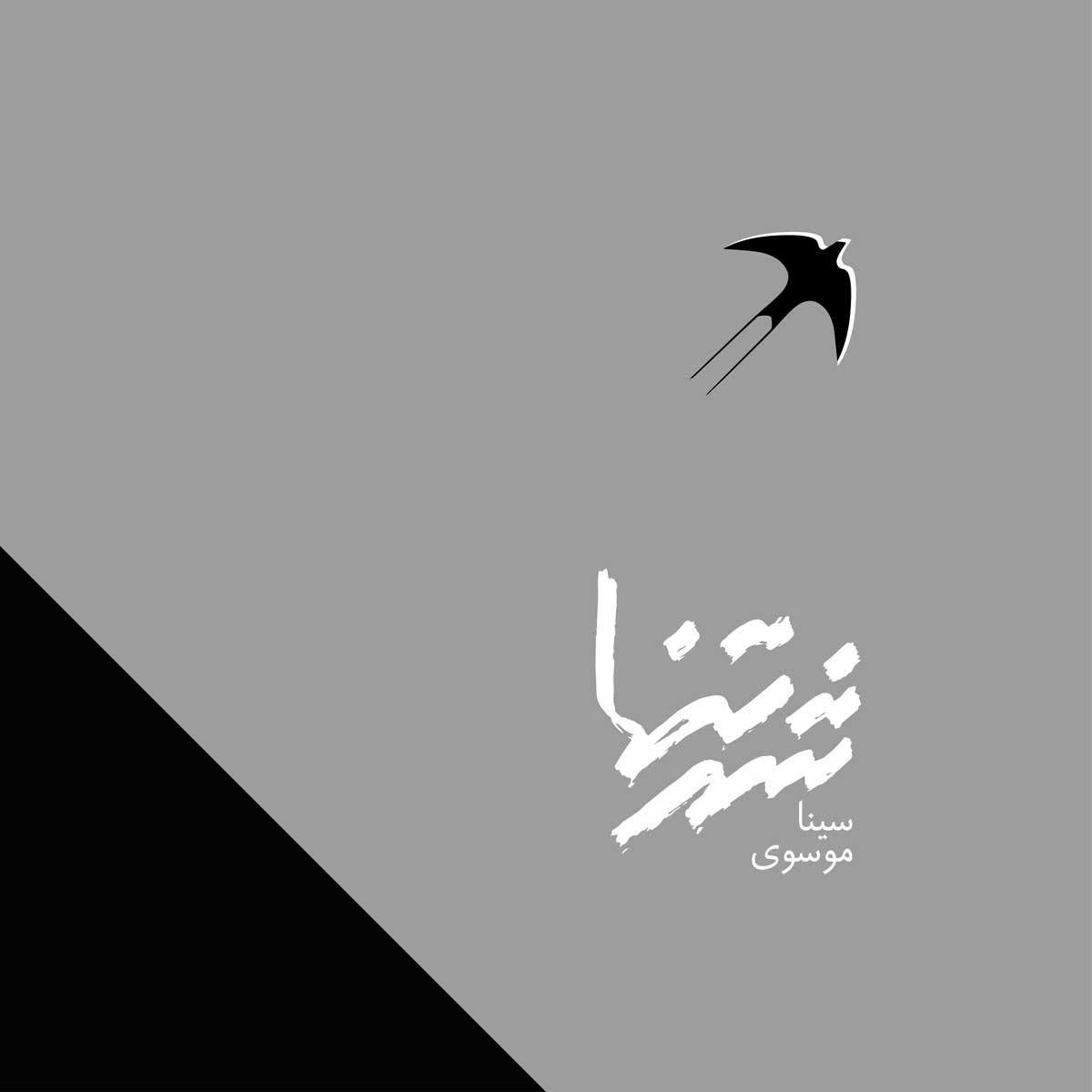 سینا موسوی شهر تنها