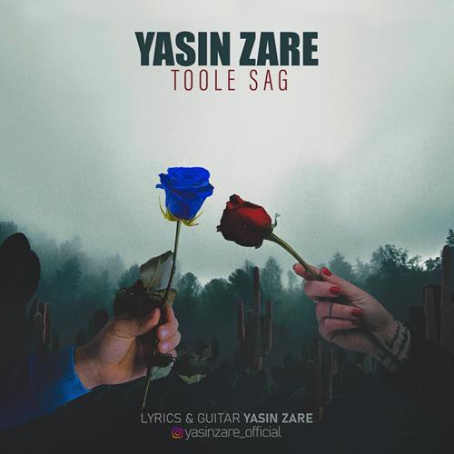 یاسین زارع توله سگ