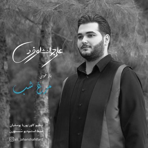علی جوانشاهی فرد مرغ شب