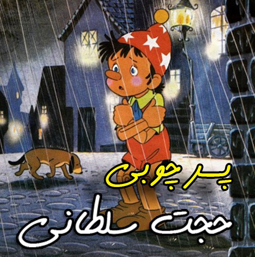 حجت سلطانی پسر چوبی