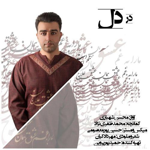 محسن شهبازی در دل