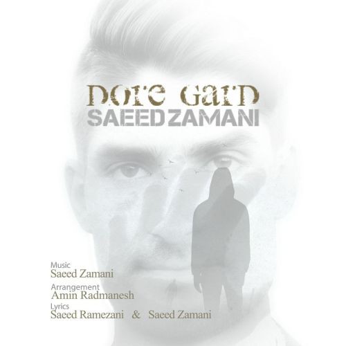 سعید زمانی دوره گرد