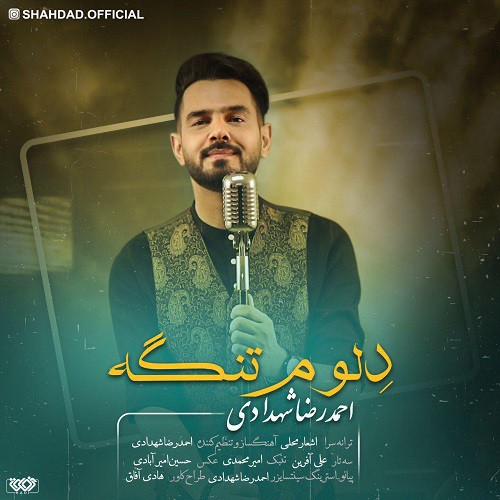 احمدرضا شهدادی دِلوم تنگه