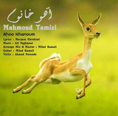 محمود تمیزی آهو خانوم