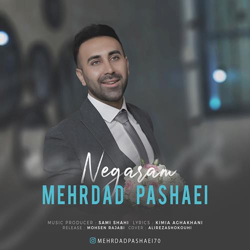 مهرداد پاشایی