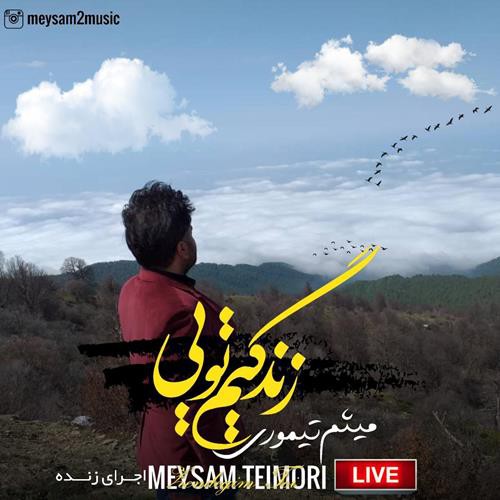 میثم تیموری زندگیم تویی (اجرای زنده)