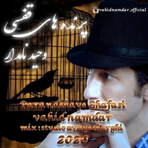 وحید نامدار پرنده های قفسی