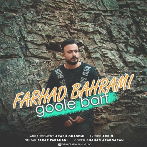 فرهاد بهرامی گوله برف