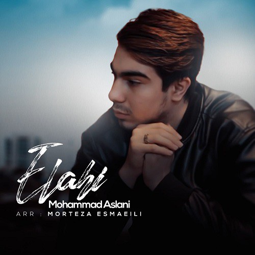 محمد اصلانی الهی