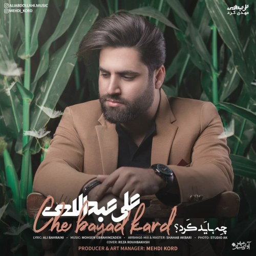 علی عبدالهی چه باید کرد