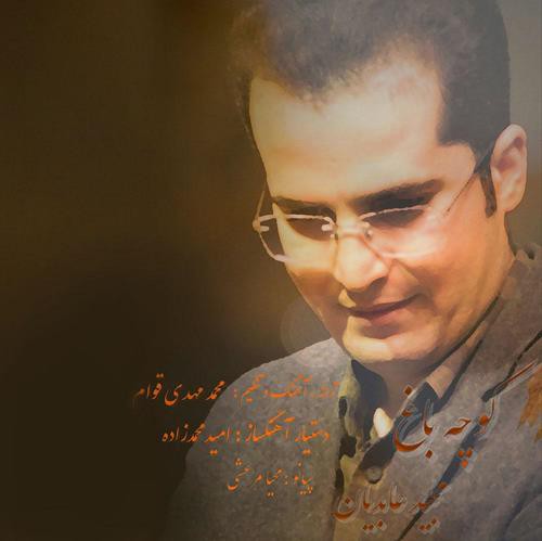 مجید عابدیان کوچه باغ