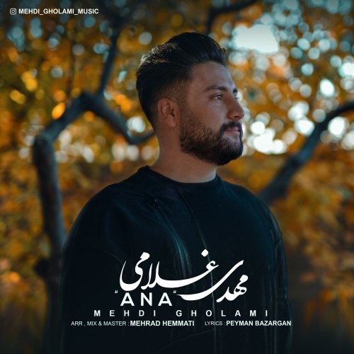مهدی غلامی انا