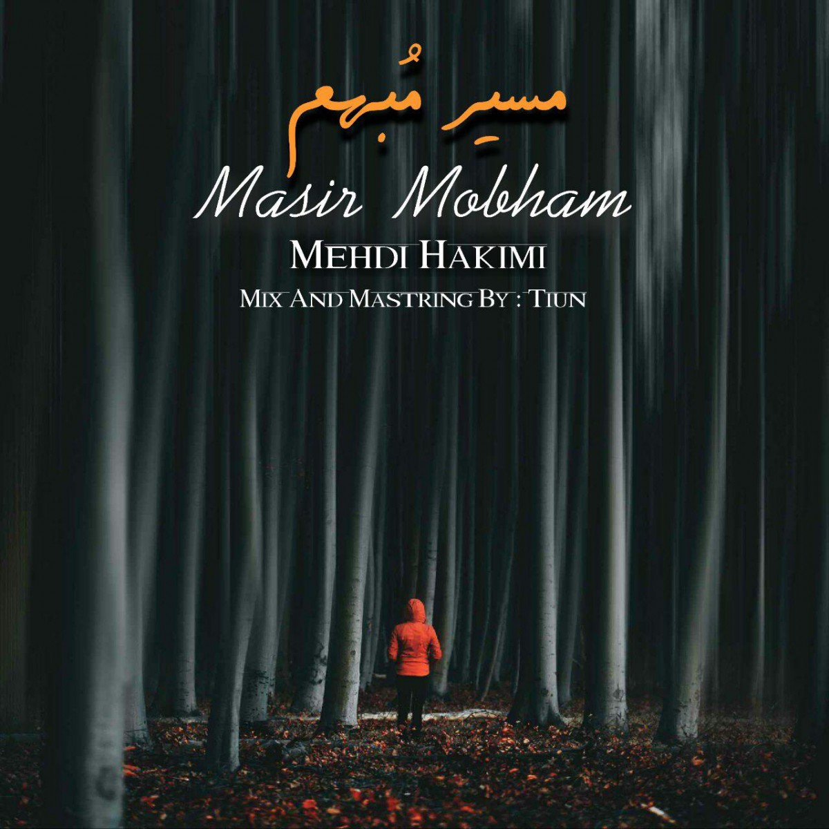 مهدی حکیمی مسیر مبهم