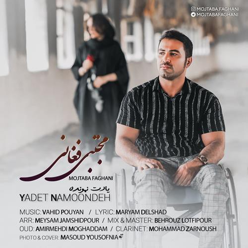 مجتبی فغانی یادت نمونده
