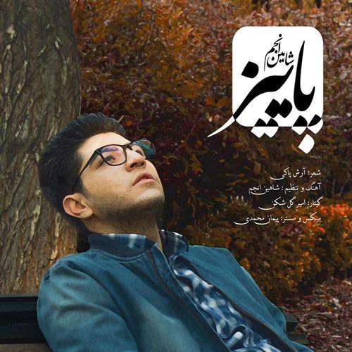 شاهین انجم پاییز