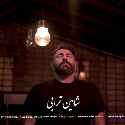 شاهین ترابی هر سال