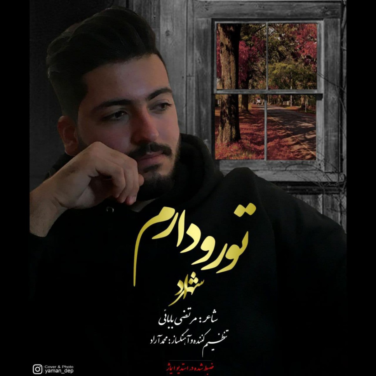 شهراد تورو دارم