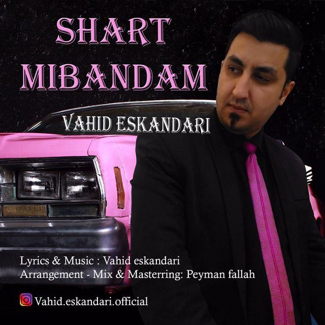 وحید اسکندری شرط میبندم