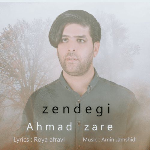 احمد زارع زندگی