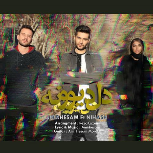 امیرحسام و نیهاش دل دیوونه